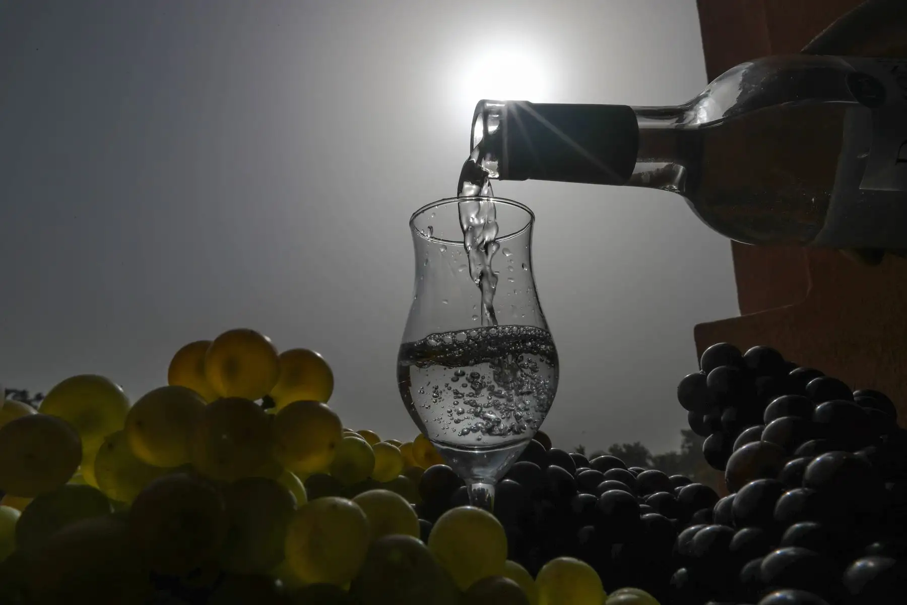 El pisco es el espíritu del pisco sour, Patrimonio Cultural de la Nación, al que rendiremos pleitesía, con guitarra y cajón, mañana sábado.