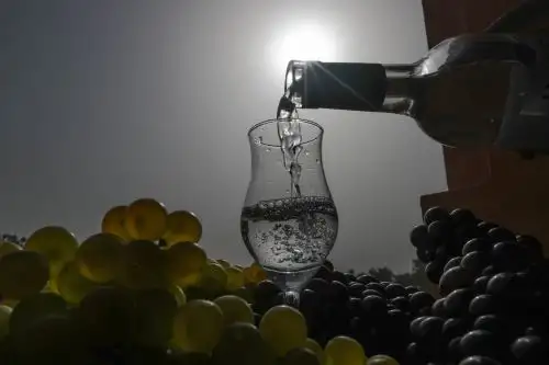 Conoce el secreto que hace único y especial al pisco, nuestra emblemática bebida de bandera. Foto: ANDINA/Jack Ramón.