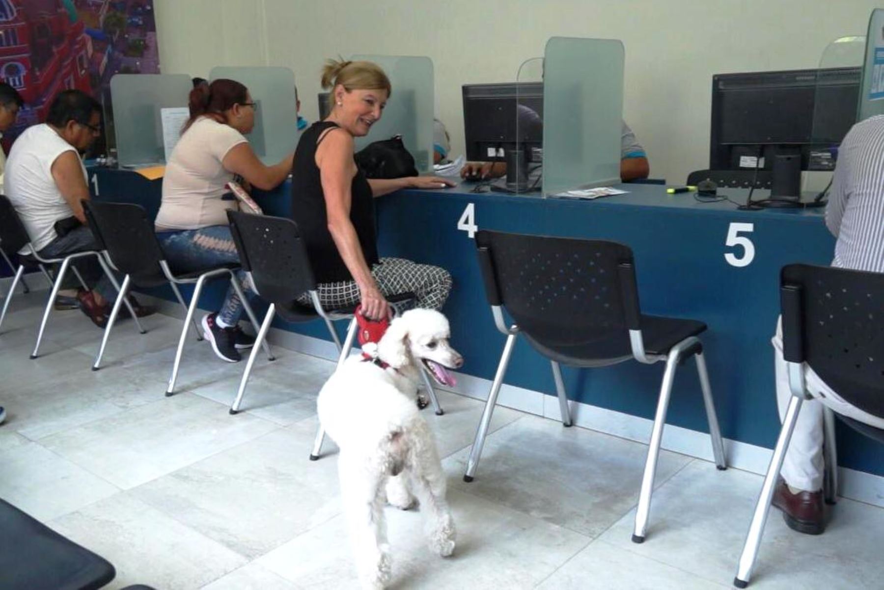 Magdalena: vecinos podrán ingresar al municipio con sus mascotas. Foto: ANDINA/Difusión.