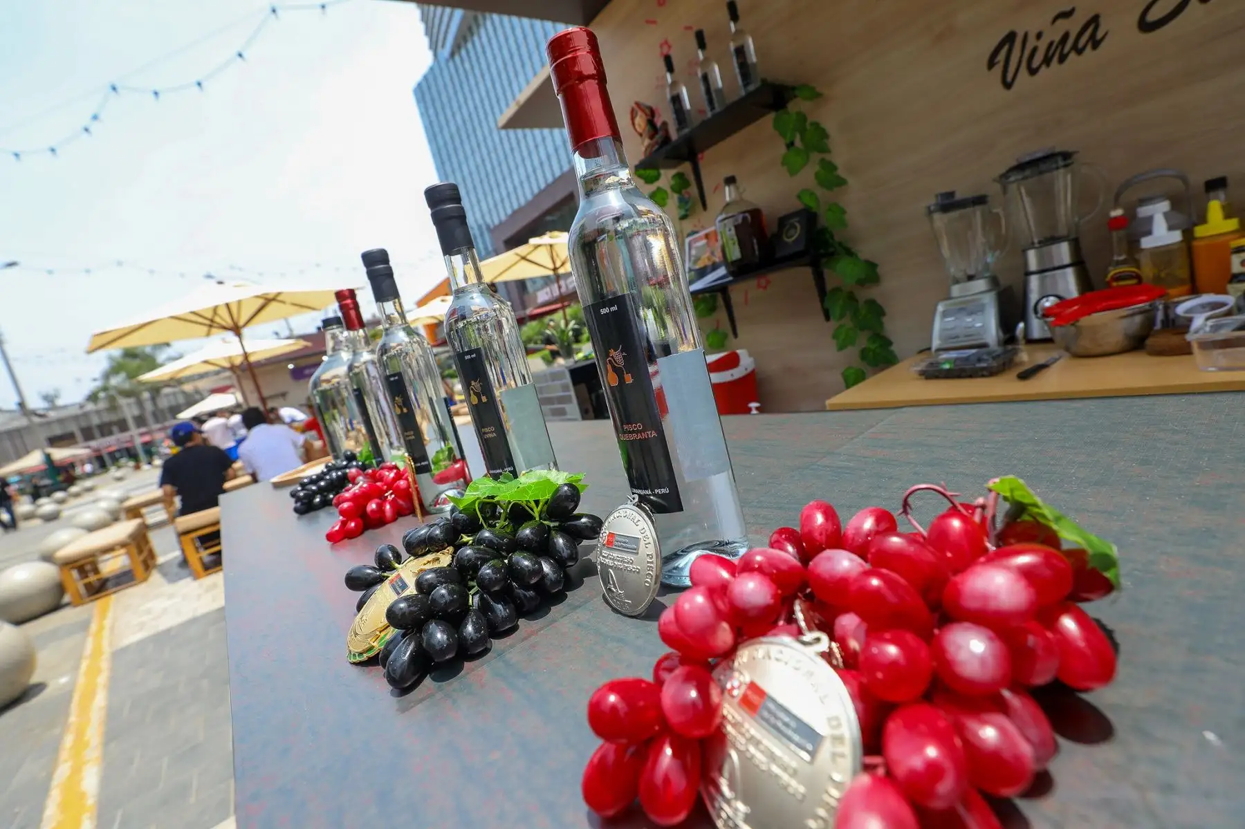 Pisco.