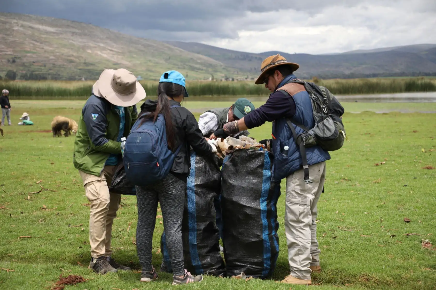 Autoridades y comuneros retiran más de 750 kilos de basura de humedales de Chocón en Jauja, Junín. Foto: Pedro Tinoco