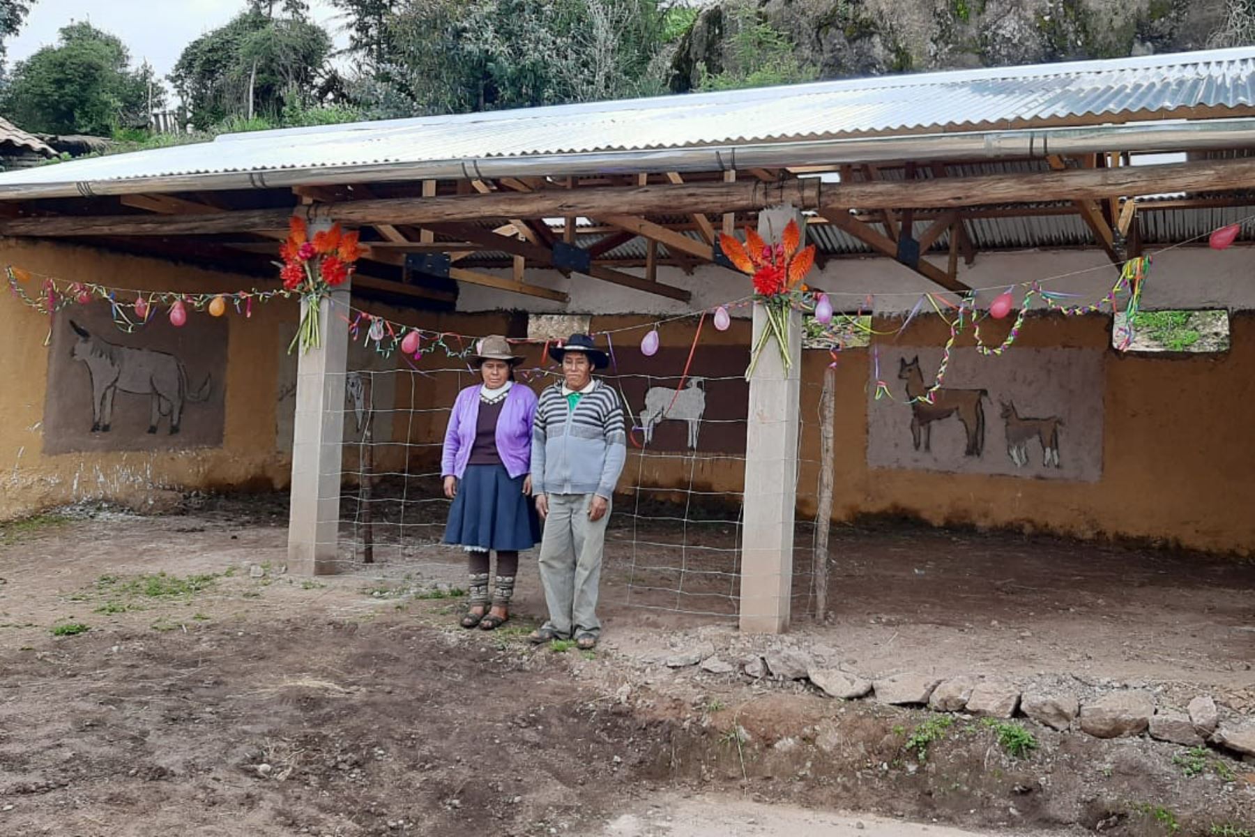 Ministerio de Agricultura y Riego entregó cobertizos en la provincia de Anta, en Cusco, para proteger al ganado de lluvias y heladas. ANDINA/Difusión