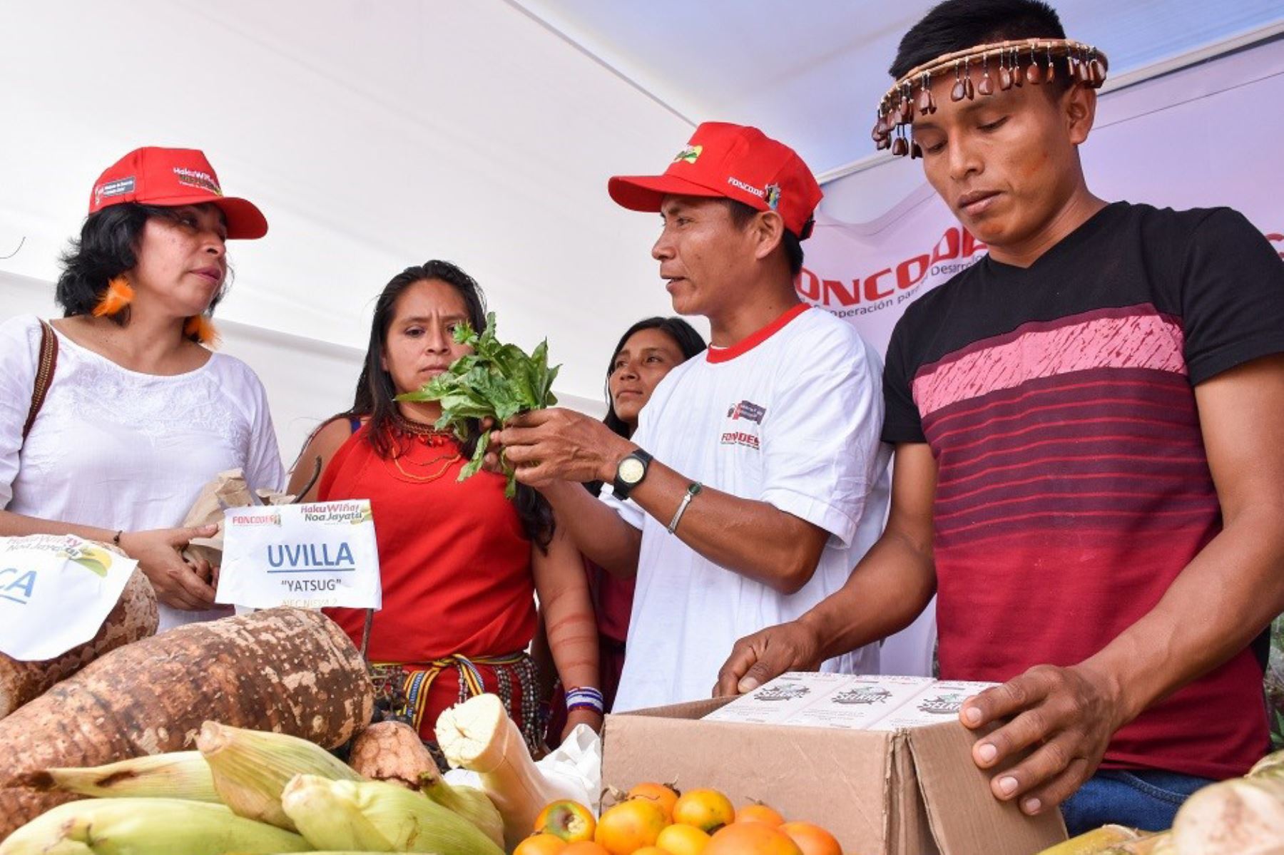 Políticas públicas buscan desarrollo de juventud en zonas rurales de Amazonía y Sierra.