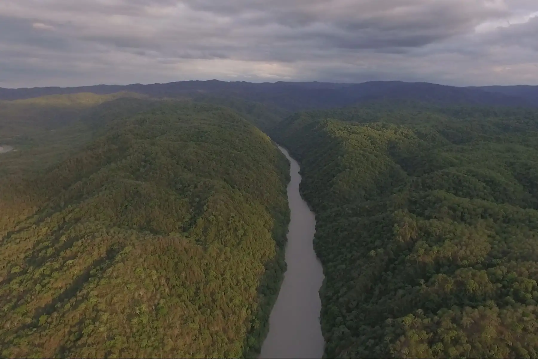 El Santuario Nacional Los Manglares de Tumbes alberga uno de los destinos paisajísticos más hermosos del norte de Perú.