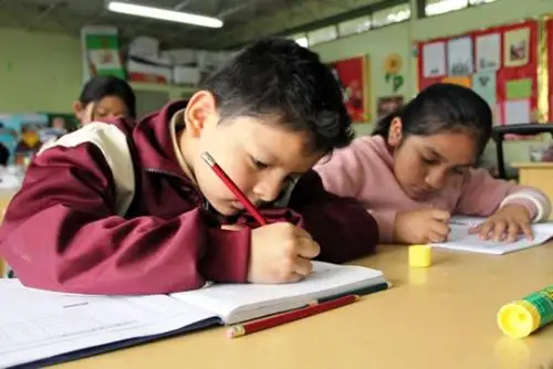Minedu inicia consulta pública sobre sistema de calificación escolar. Foto: ANDINA/Difusión.