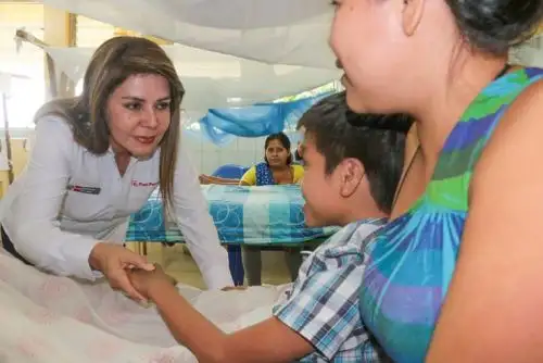 Frente a los casos de dengue que se reportan en algunas zonas del país, la ministra de Salud, Elizabeth Hinostroza, anunció esta tarde que se declarará en emergencia sanitaria a las regiones Loreto, Madre de Dios y San Martín, para combatir el brote de esta enfermedad