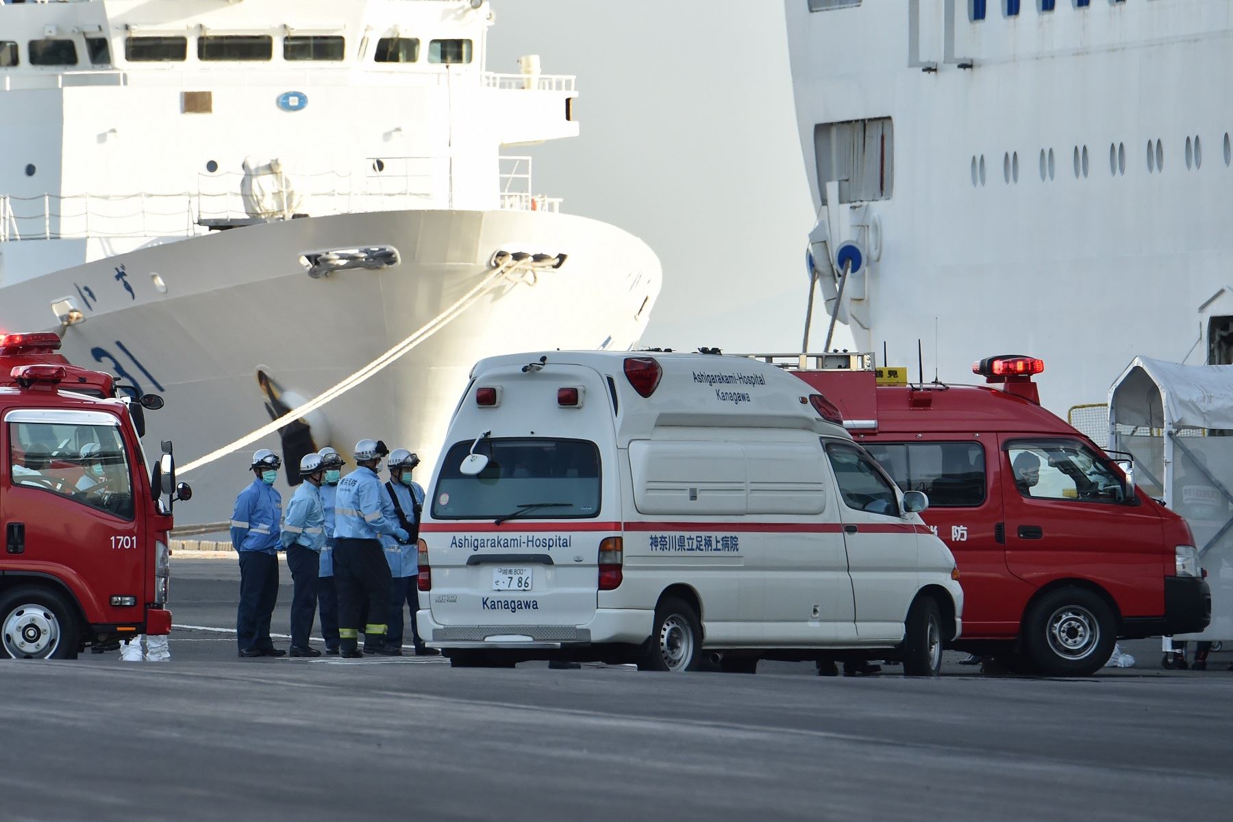 Autoridades sanitarias revisan crucero Diamond Princess. Foto: AFP.