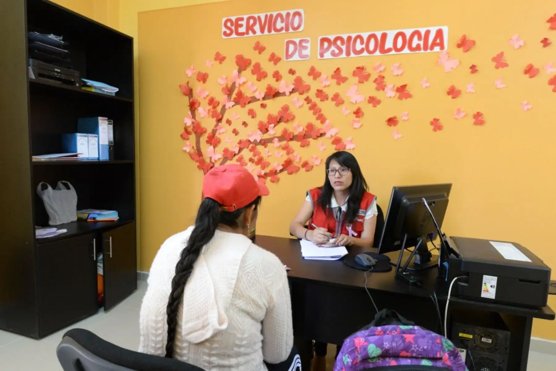 El Ministerio de la Mujer y Poblaciones Vulnerables protegió a más de 2,000 mujeres en alto riesgo de violencia durante el 2019. ANDINA/Difusión