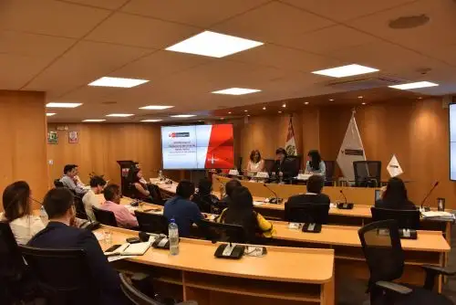 Viceministra de Comunicaciones, Virginia Nakagawa, participa en taller.