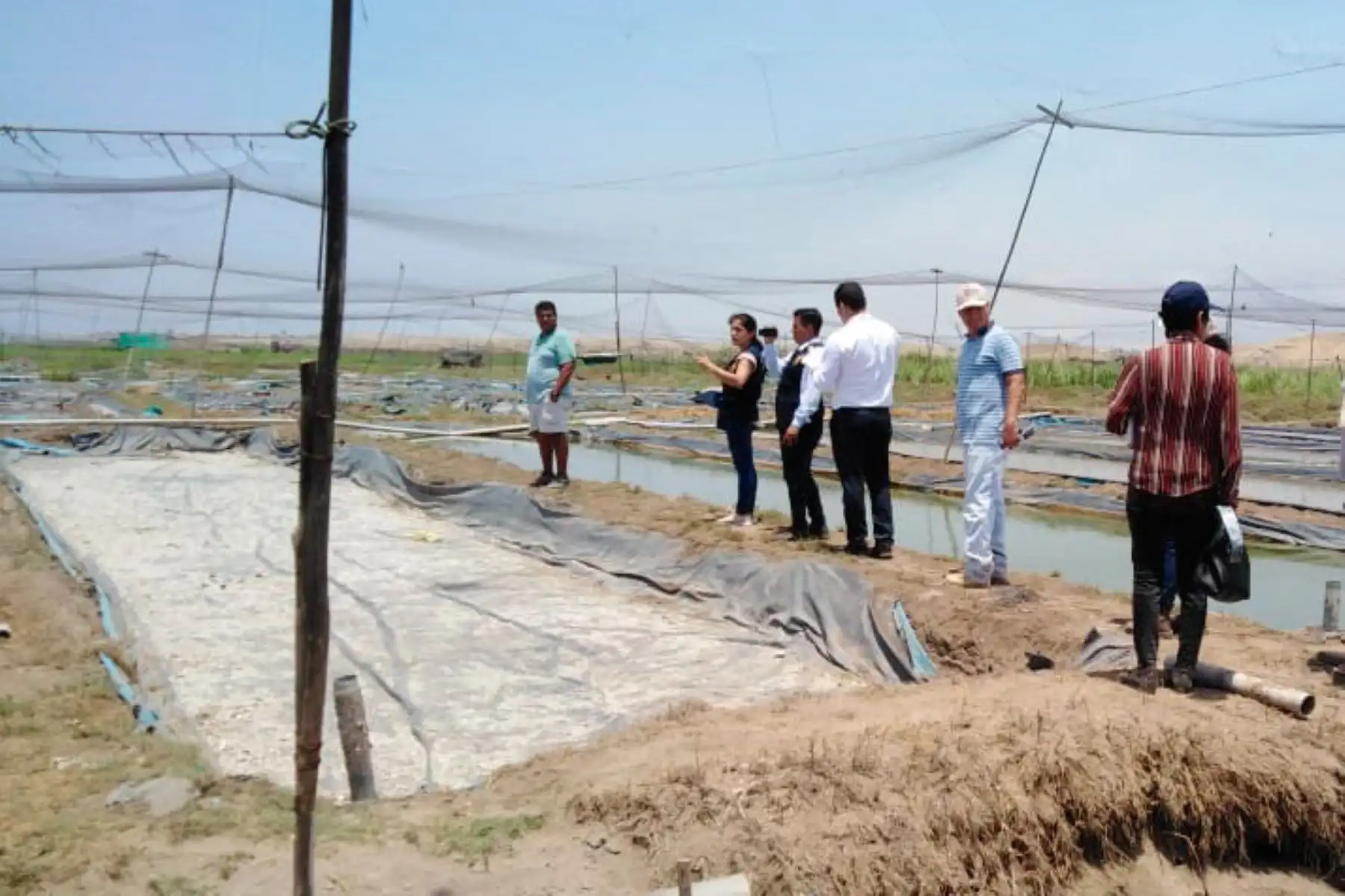 Estas pozas para la crianza de peces ornamentales fueron instaladas en el sector Pampas de Alejandro, que forma parte del área intangible del Complejo Arqueológico Chan Chan.