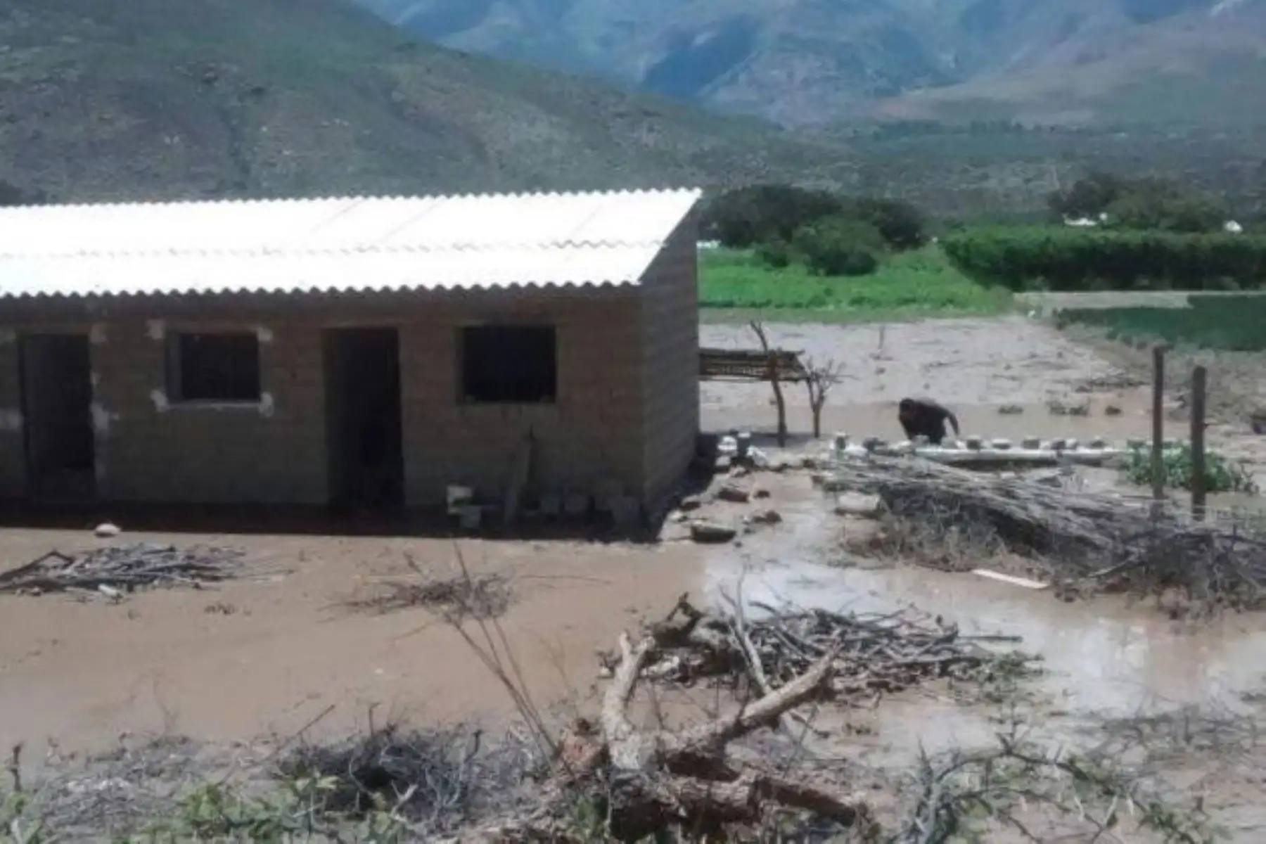 En la sierra de Áncash se registran lluvias intensas, que ocasionan daños en la infraestructura pública.