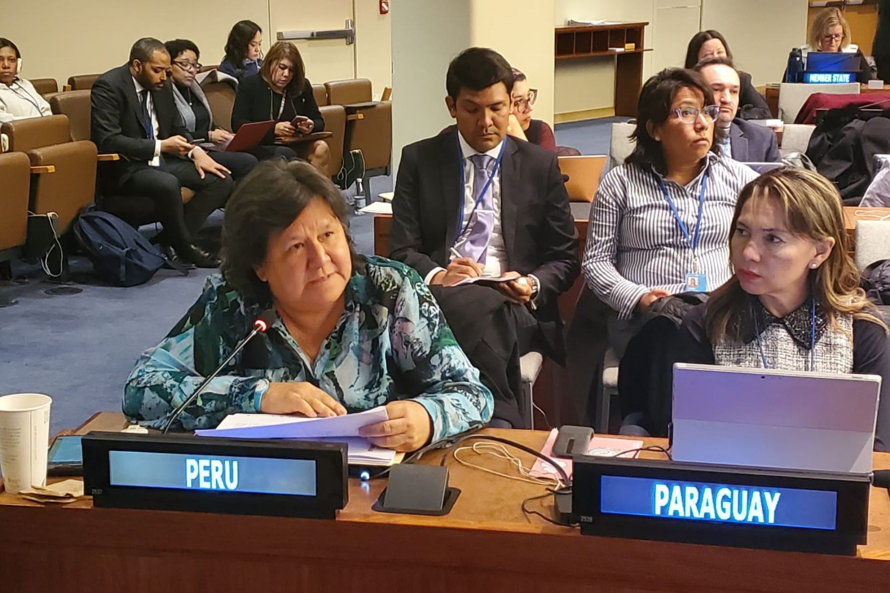 Ministra Ariela Luna presentó los avances del Perú en reunión de la ONU sobre temas de desarrollo social.