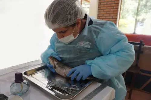Fiscalización en pesca. Foto: ANDINA/Difusión
