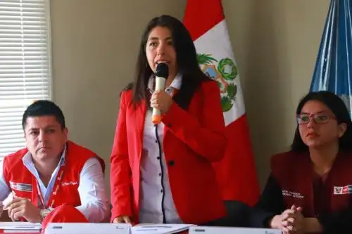 Directora ejecutiva de la ARCC, Amalia Moreno Vizcardo, en imagen de archivo. ANDINA/Difusión