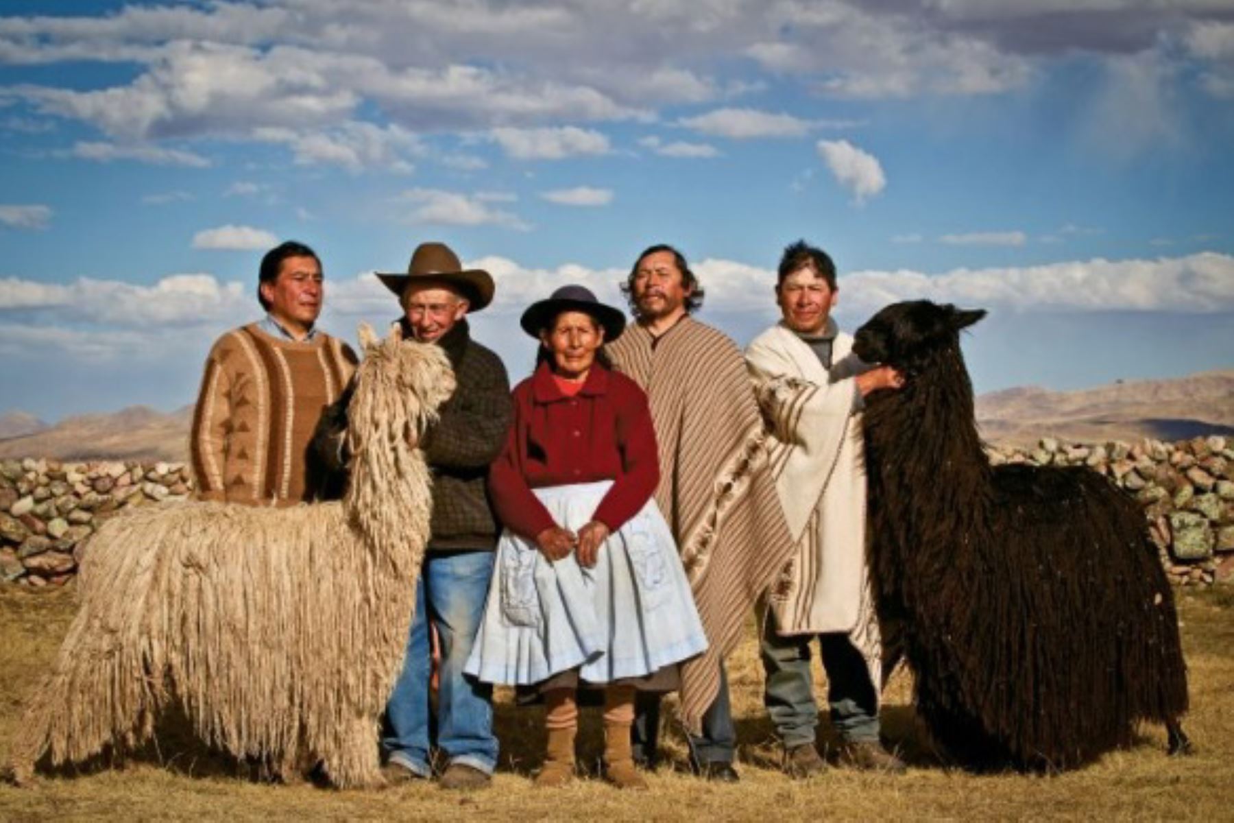 Criadores de alpaca Suri en la comunidad de Nuñoa, perteneciente a la provincia de Melgar, departamento de Puno. Fotos: Enrique Castro-Mendívil/PNUD/SGP/FMAM