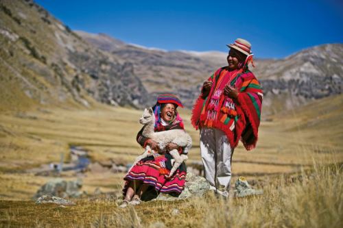 Comunidades altoandinas de Puno se beneficiaron con la recuperación de 1,000 hectáreas de áreas de pastizales. Foto: Enrique Castro-Mendívil/PNUD/SGP/FMAM