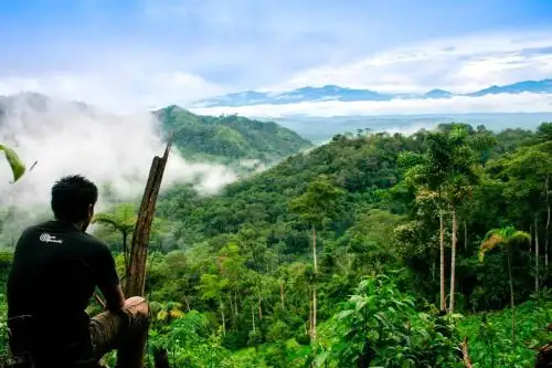El director ejecutivo del Servicio Nacional Forestal y de Fauna Silvestre (Serfor), Alberto Gonzales-Zúñiga, destacó el logro de la región San Martín por lograr la zonificación forestal de su territorio, al mencionar que la medida responde de manera efectiva a una política de Estado para enfrentar el cambio climático.