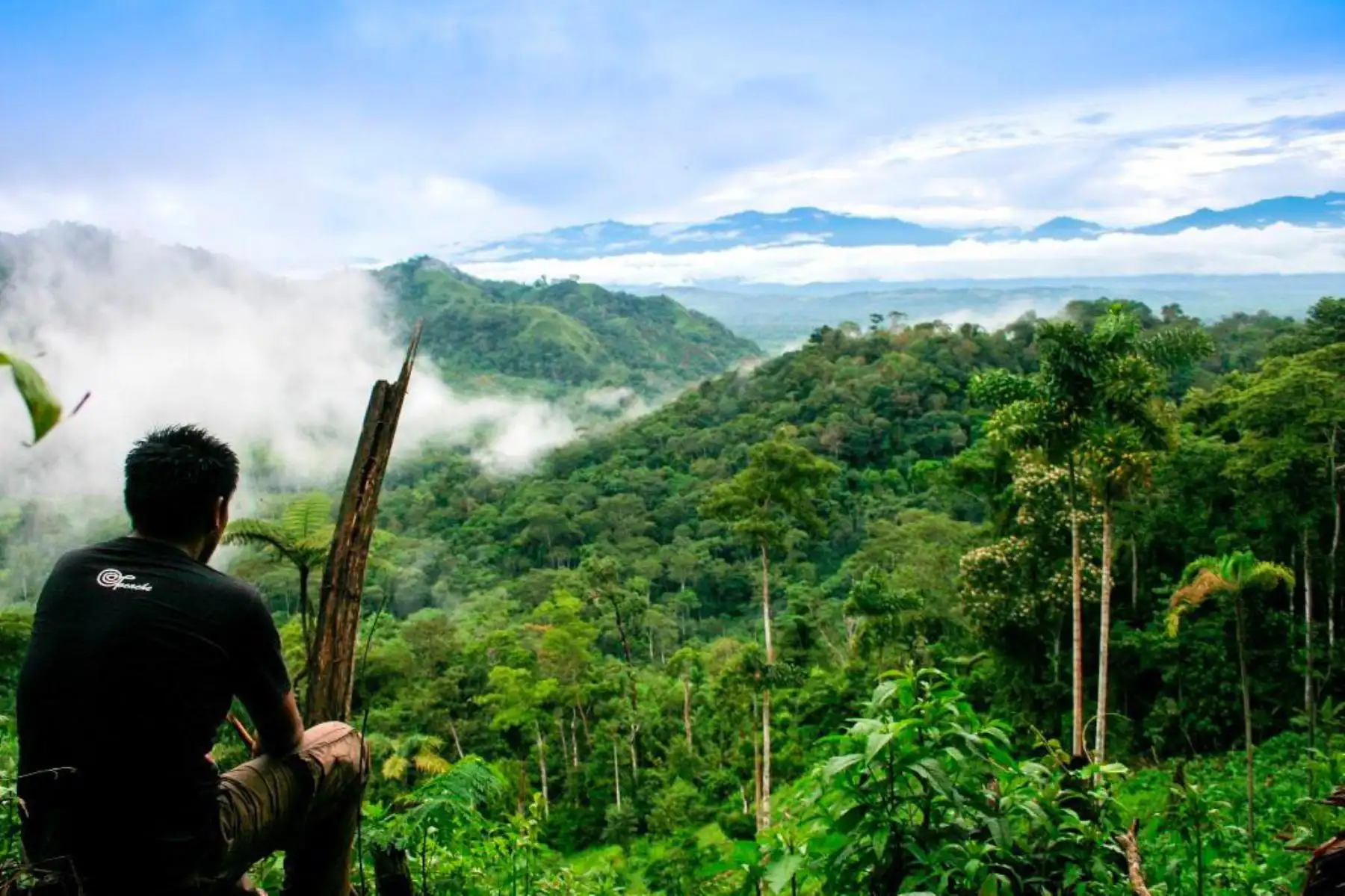 El director ejecutivo del Servicio Nacional Forestal y de Fauna Silvestre (Serfor), Alberto Gonzales-Zúñiga, destacó el logro de la región San Martín por lograr la zonificación forestal de su territorio, al mencionar que la medida responde de manera efectiva a una política de Estado para enfrentar el cambio climático.