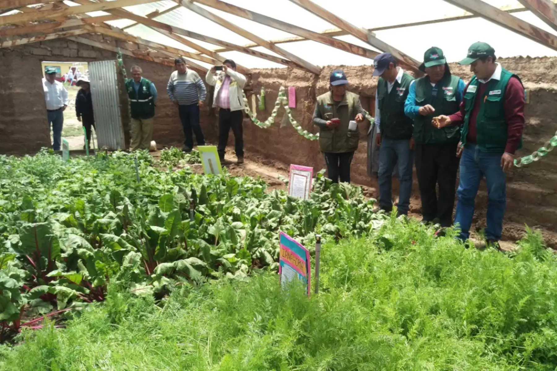 Agro Rural instaló 1,082 fitotoldos a escala nacional y este año implementará otros 2,163.