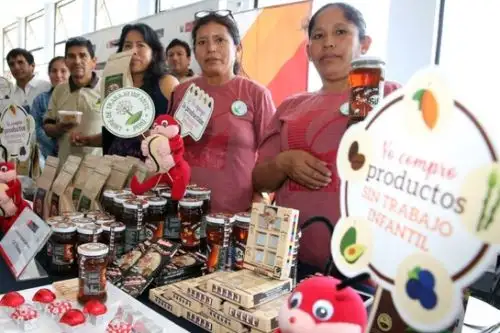 MTPE entrega Sello Libre de Trabajo Infantil a 7 personas jurídicas de Pasco y Junín