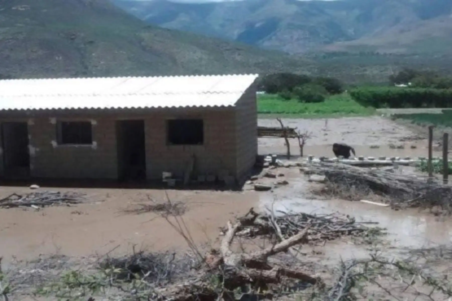 Las autoridades gestionan ayuda humanitaria para la familia damnificada por huaico en Cabana.