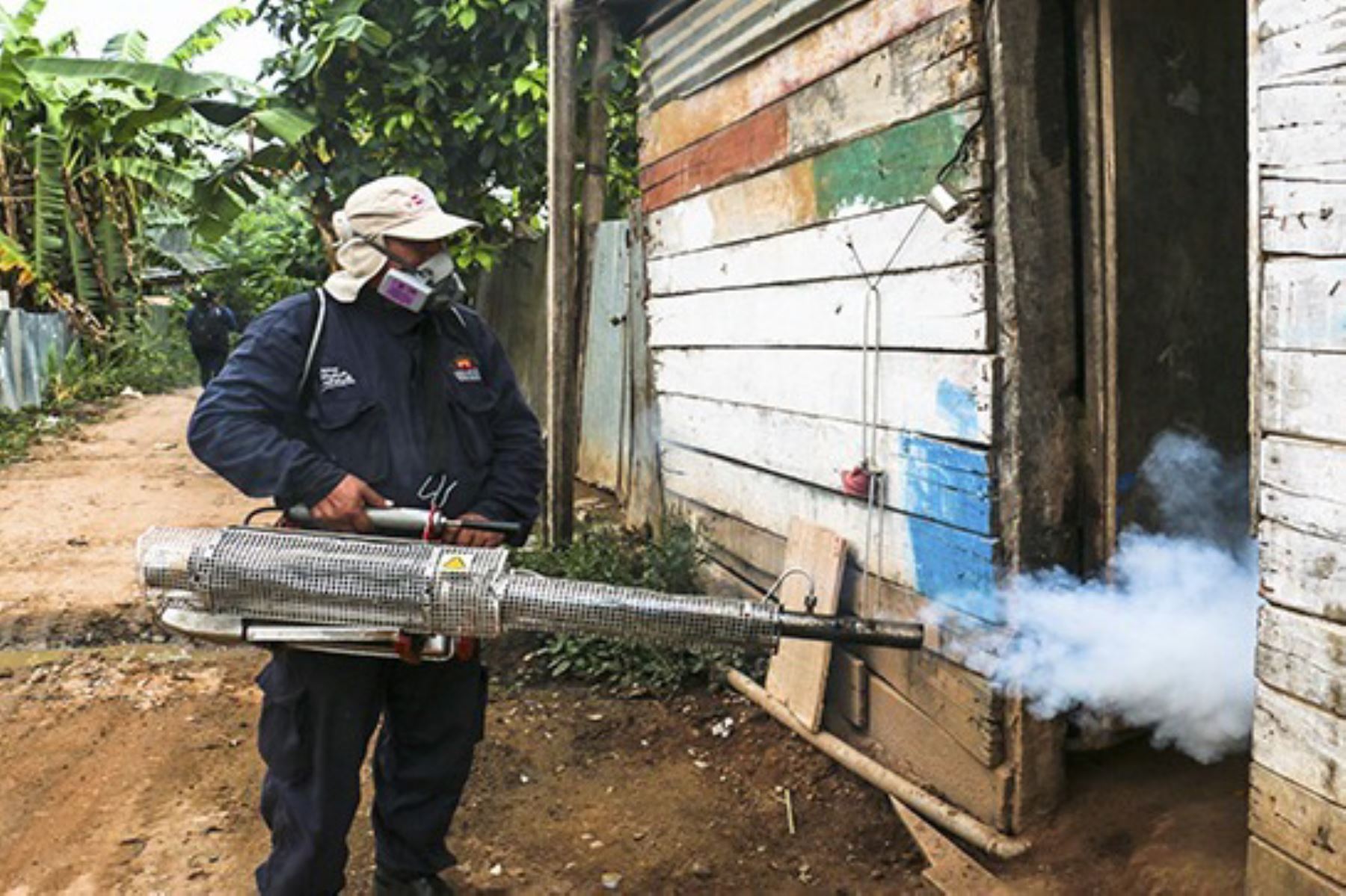 Para conocer el detalle del plan de acciones que desarrolla el Ministerio de Salud ante los casos de dengue reportados en esta zona, la ministra Elizabeth Hinostroza llegó hoy a la ciudad de Quillabamba, junto a un equipo técnico que evaluará la capacidad de respuesta de la red local de salud. ANDINA/archivo