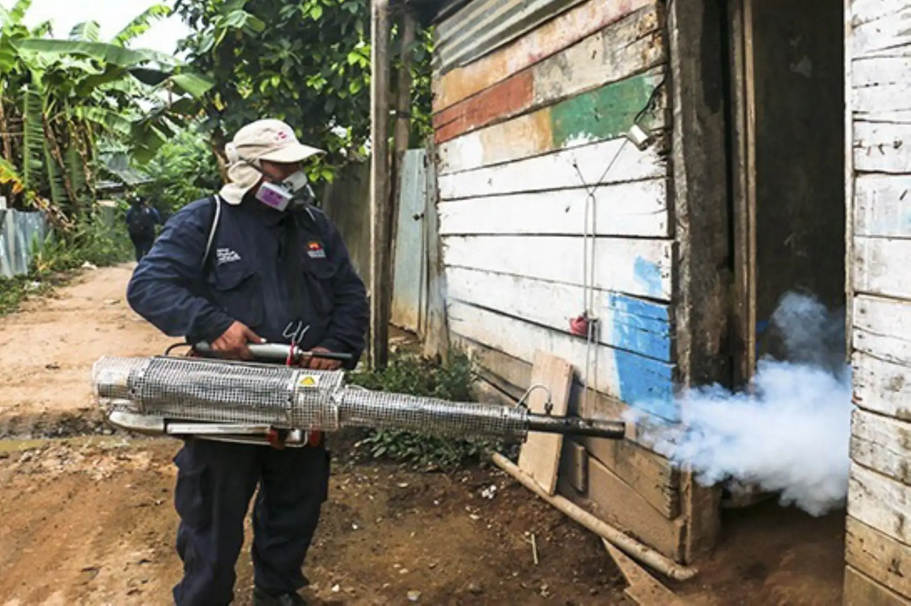 Minsa fortalece acciones contra dengue y otras enfermedades en 14 regiones priorizadas. ANDINA/archivo