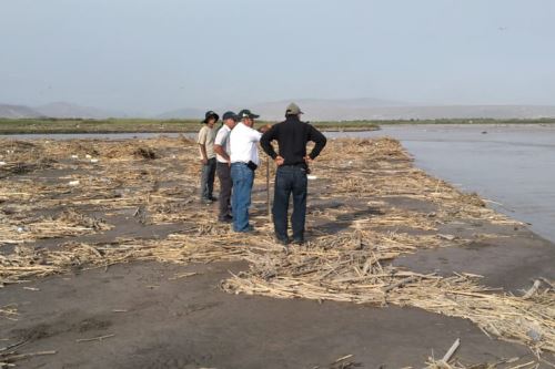 El Ejecutivo prorrogó el estado de emergencia en las provincias de Islay (Arequipa) y General Sánchez Cerro (Moquegua) por la contaminación del río Tambo. ANDINA/Difusión