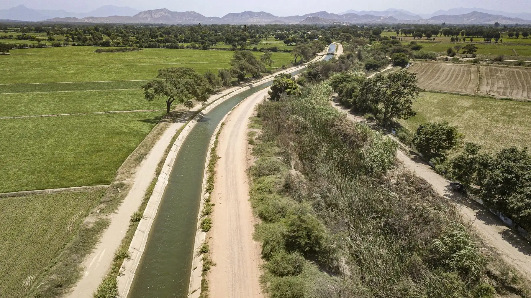El presidente de la República, Martín Vizcarra, supervisa el funcionamiento del servicio de agua de riego del canal Mochumí, en Lambayeque. Foto: ANDINA/Prensa Presidencia