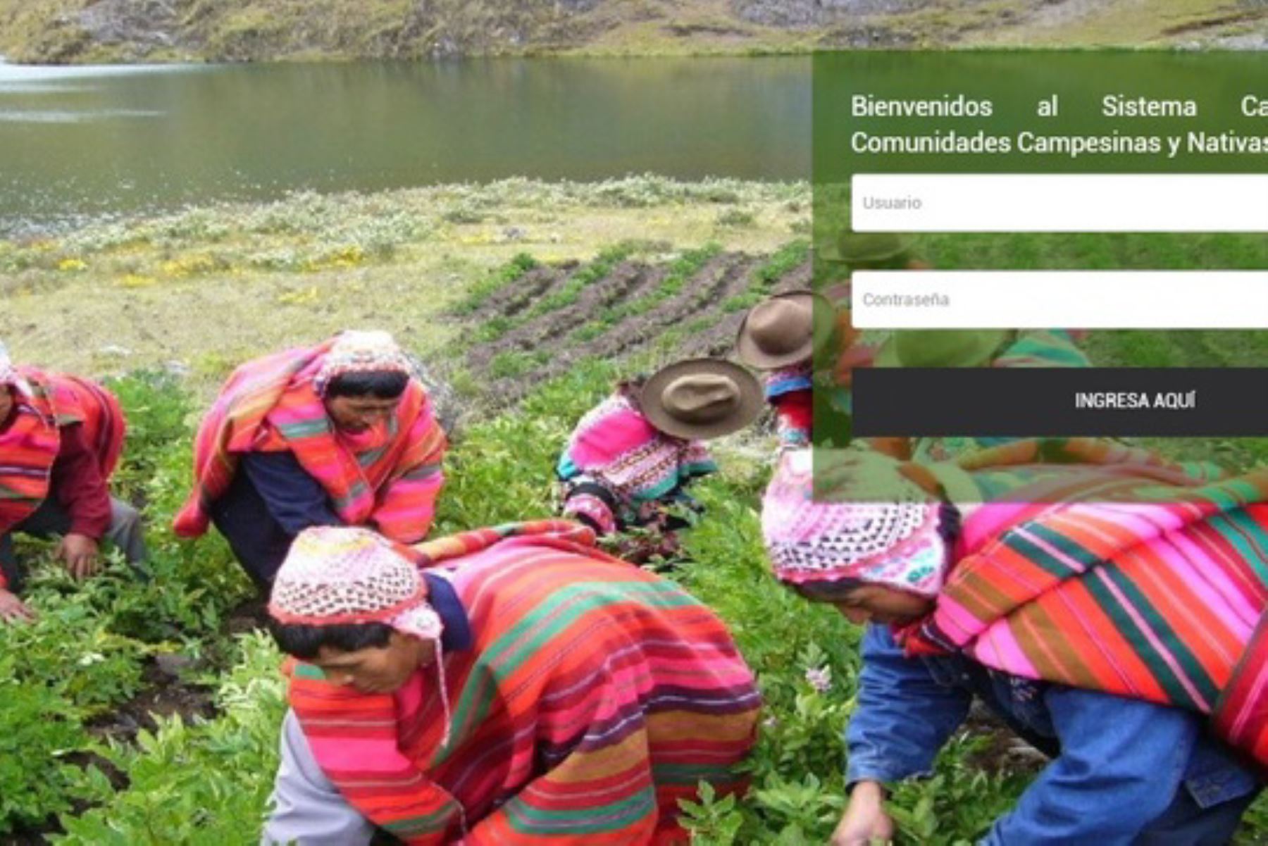 El Sistema Catastral para Comunidades Campesinas y Nativas (Sic-Comunidades) es una herramienta moderna y de fácil acceso que permite concentrar la información del catastro rural que generan los gobiernos regionales.