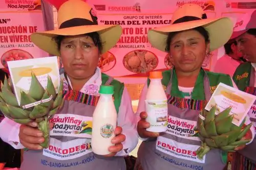 Dos usuarias del programa Juntos en el distrito de Sangallaya, provincia de Huarochirí, región Lima, crean yogurt artesanal de alcachofa. Foto: ANDINA/difusión.