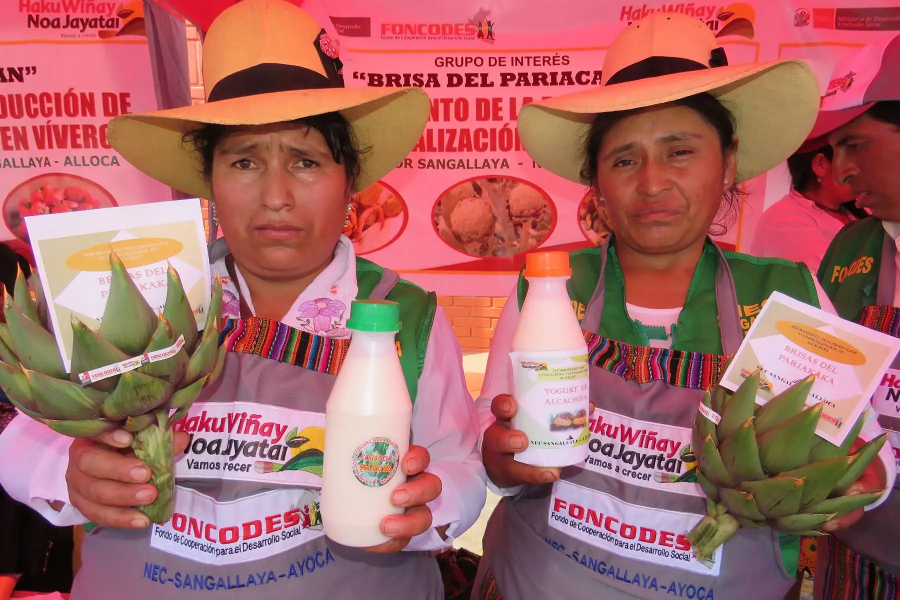 Dos usuarias del programa Juntos en el distrito de Sangallaya, provincia de Huarochirí, región Lima, crean yogurt artesanal de alcachofa. Foto: ANDINA/difusión.