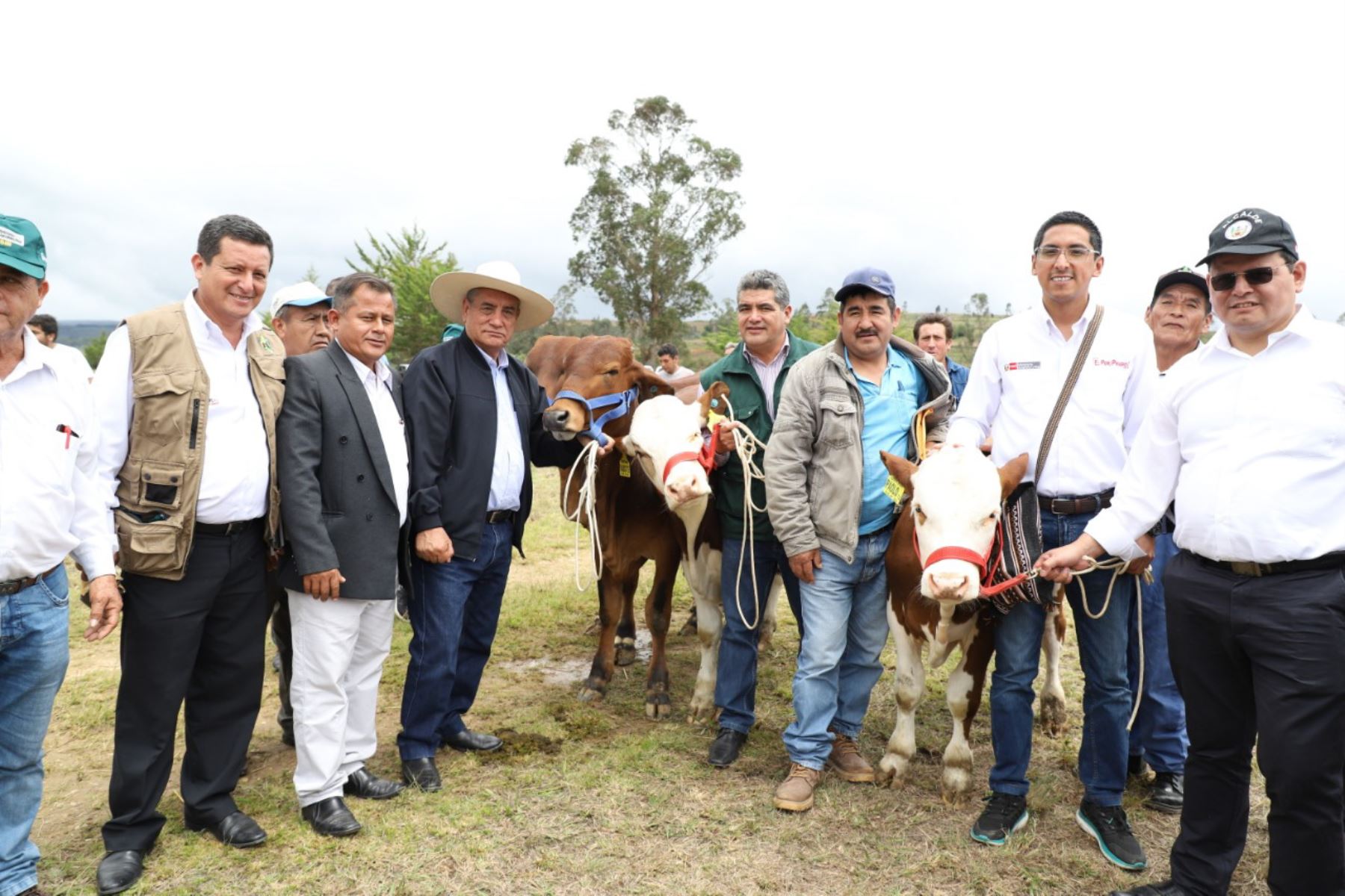 Ministerio de Agricultura y Riego y el Gobierno Regional de Amazonas acuerdan potenciar la agricultura y ganadería de dicha región. ANDINA/Difusión