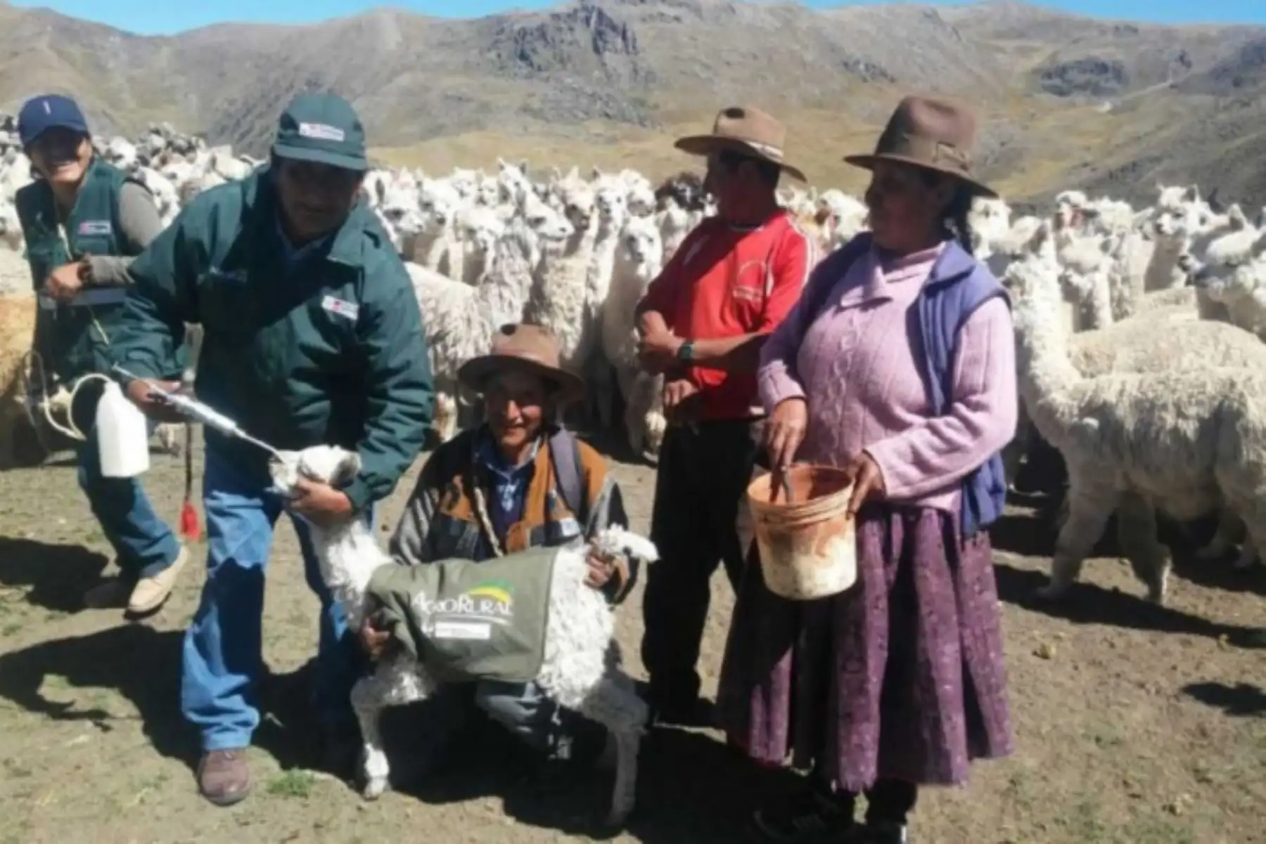 ANDINA/Difusión