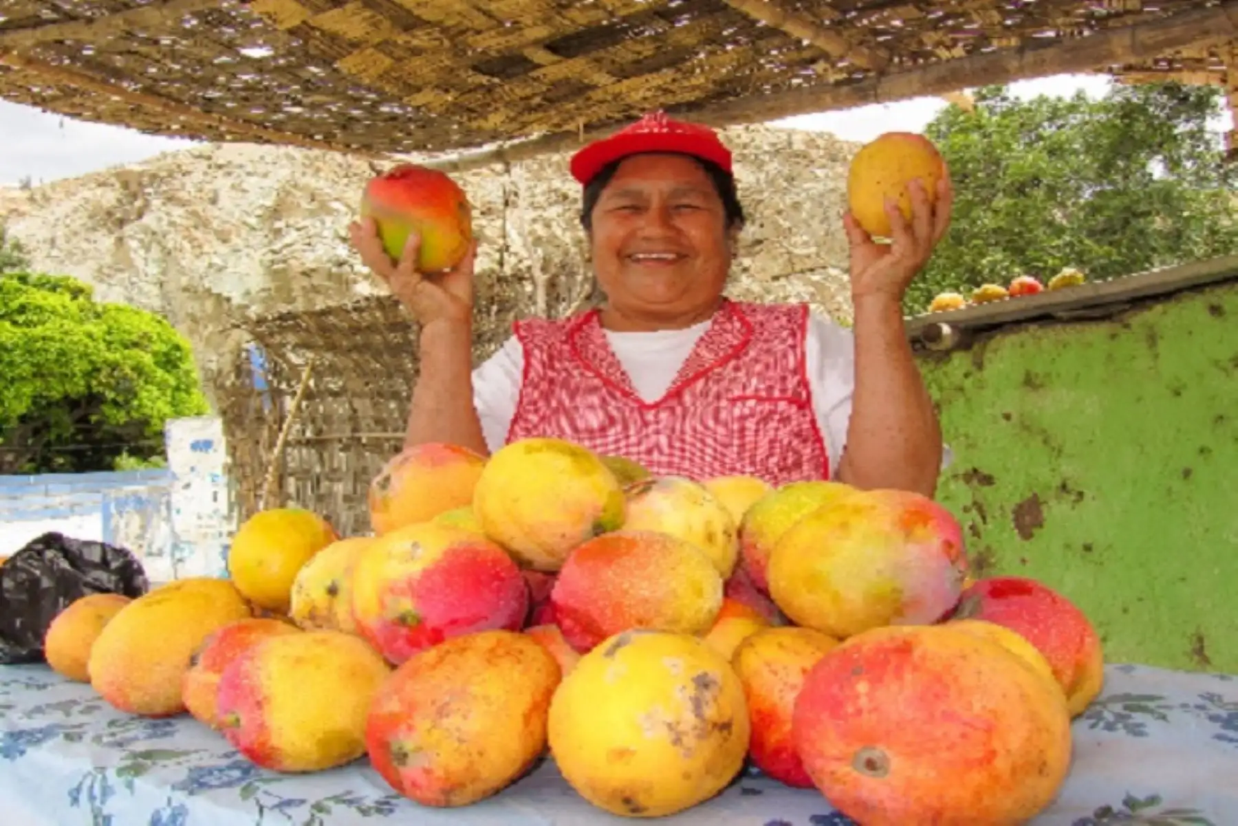 El mango es una fruta de gran valor nutritivo. ANDINA/Difusión