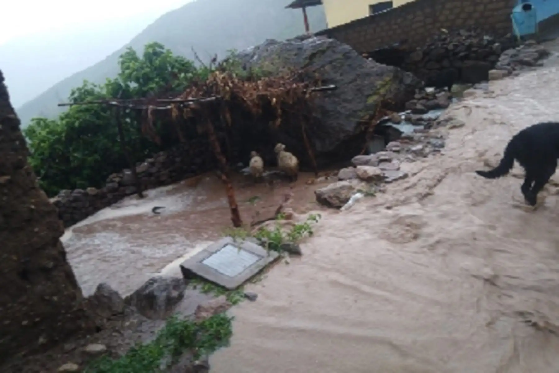 Lluvias intensas y persistentes inundaron 50 viviendas del distrito de Tauria, en la región Arequipa,