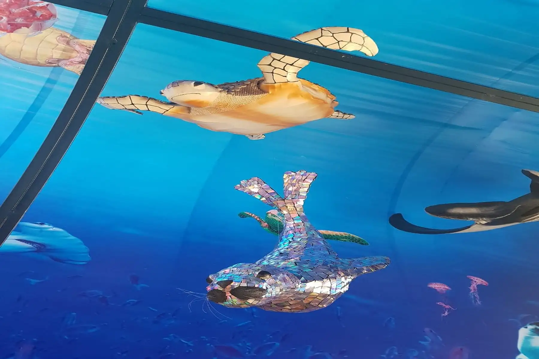 Acuario con material reciclable Foto: Difusión