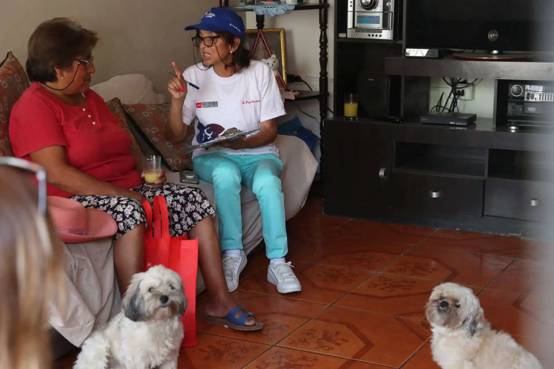 Actividad preventiva "Casa por casa" contra la violencia hacia la mujer y familia. Foto: ANDINA/Melina Mejía