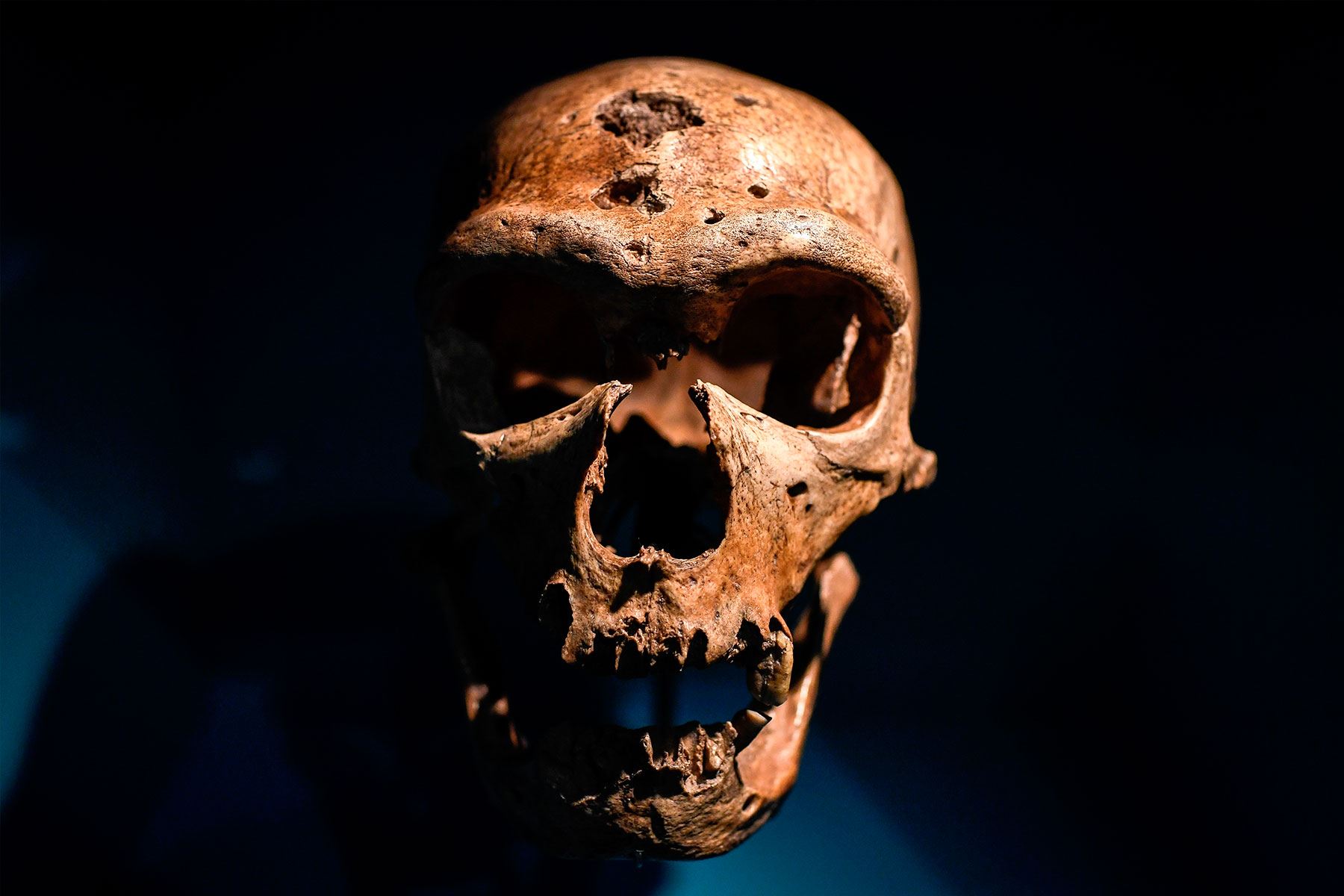 Restos neandertales fueron hallados en la cueva de Shanidar, en Iraq, en los años cincuenta. En 2018 y 2019, una nueva expedición halló nuevos restos.