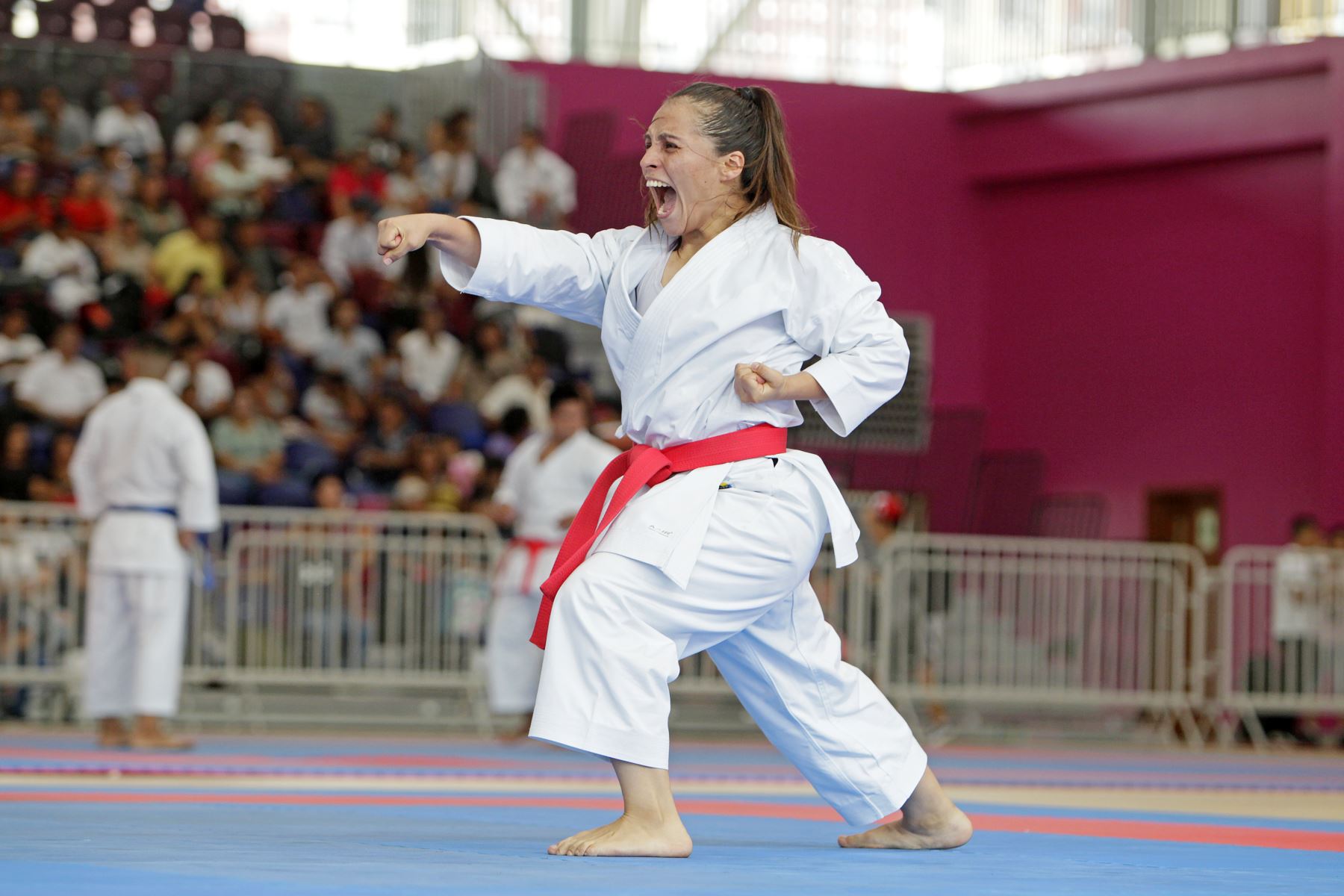 El karate nacional también mostró lo mejor de su repertorio