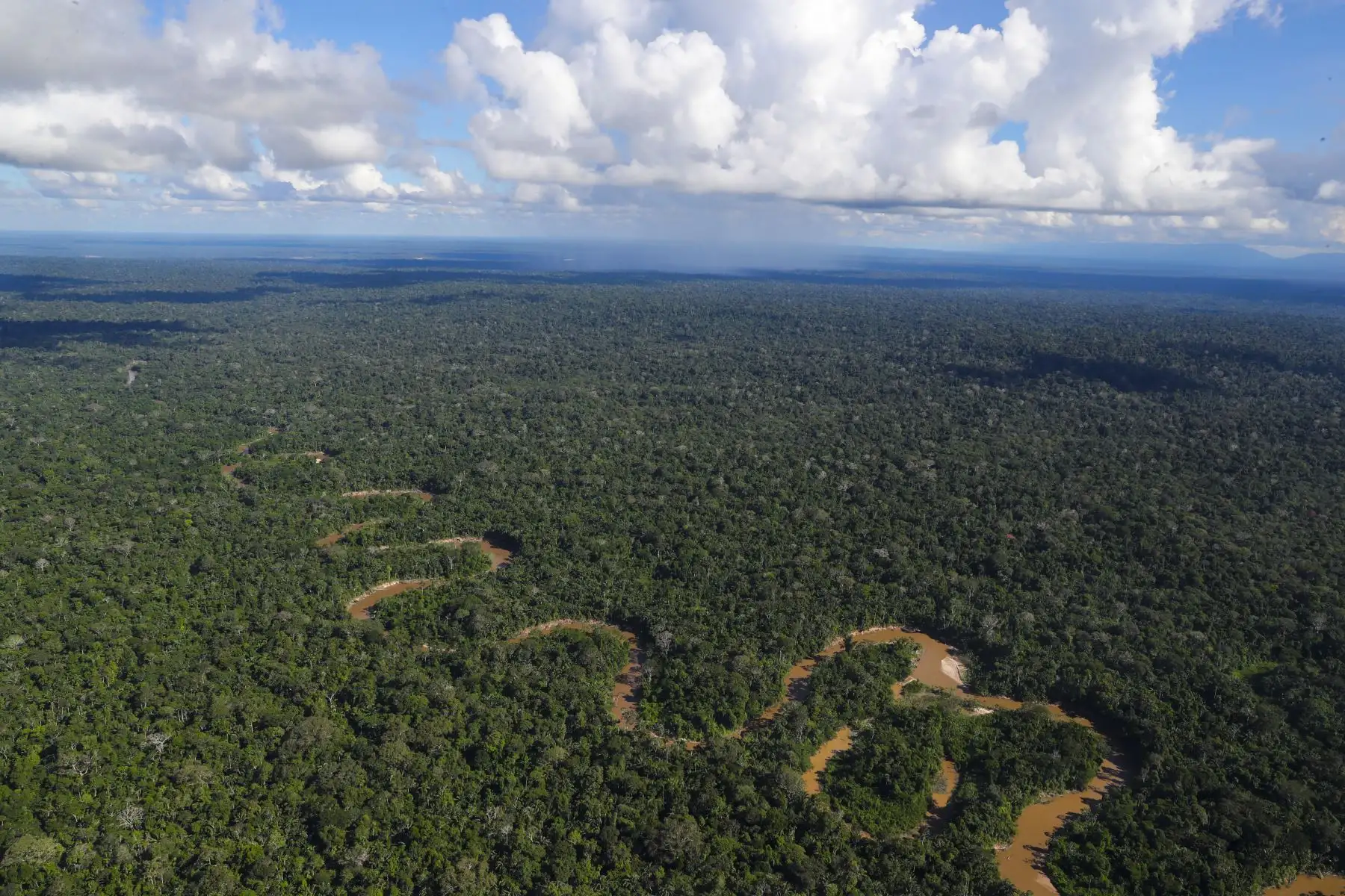 Vista aérea de la Amazonía. ANDINA/Andrés Valle