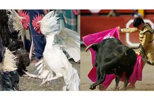 Foto: ANDINA/difusión.