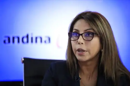 Foto: ANDINA/Juan Carlos Guzmán.