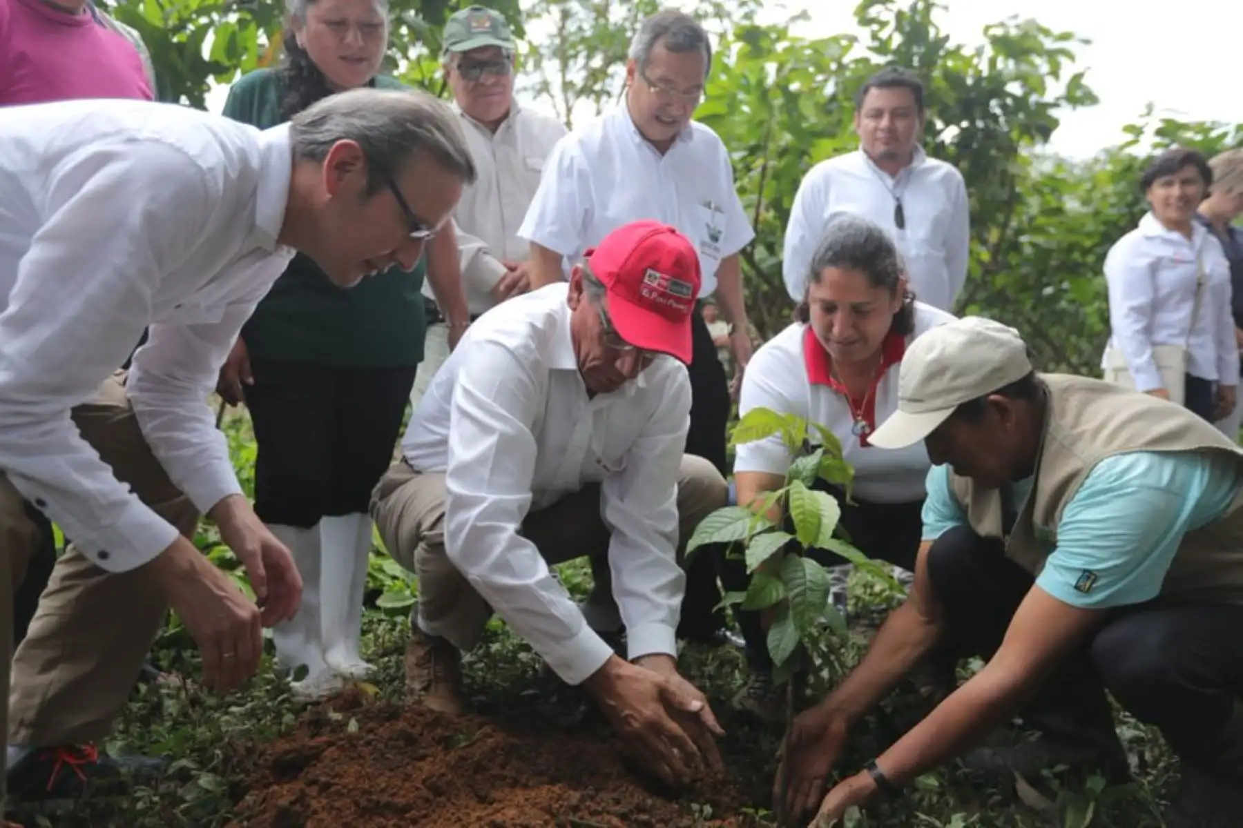 ANDINA/Prensa Presidencia