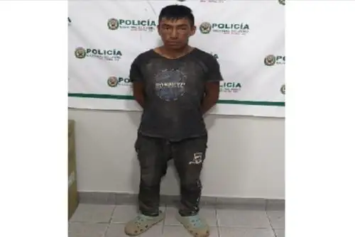 Durante el interrogatorio preliminar, el parricida reconoció ser el autor del ilícito penal en mención, manifestando que el móvil habría sido que su pareja estaría embarazada de otra persona, lo que motivó a que usara una frazada para asfixiar a sus dos menores hijas.