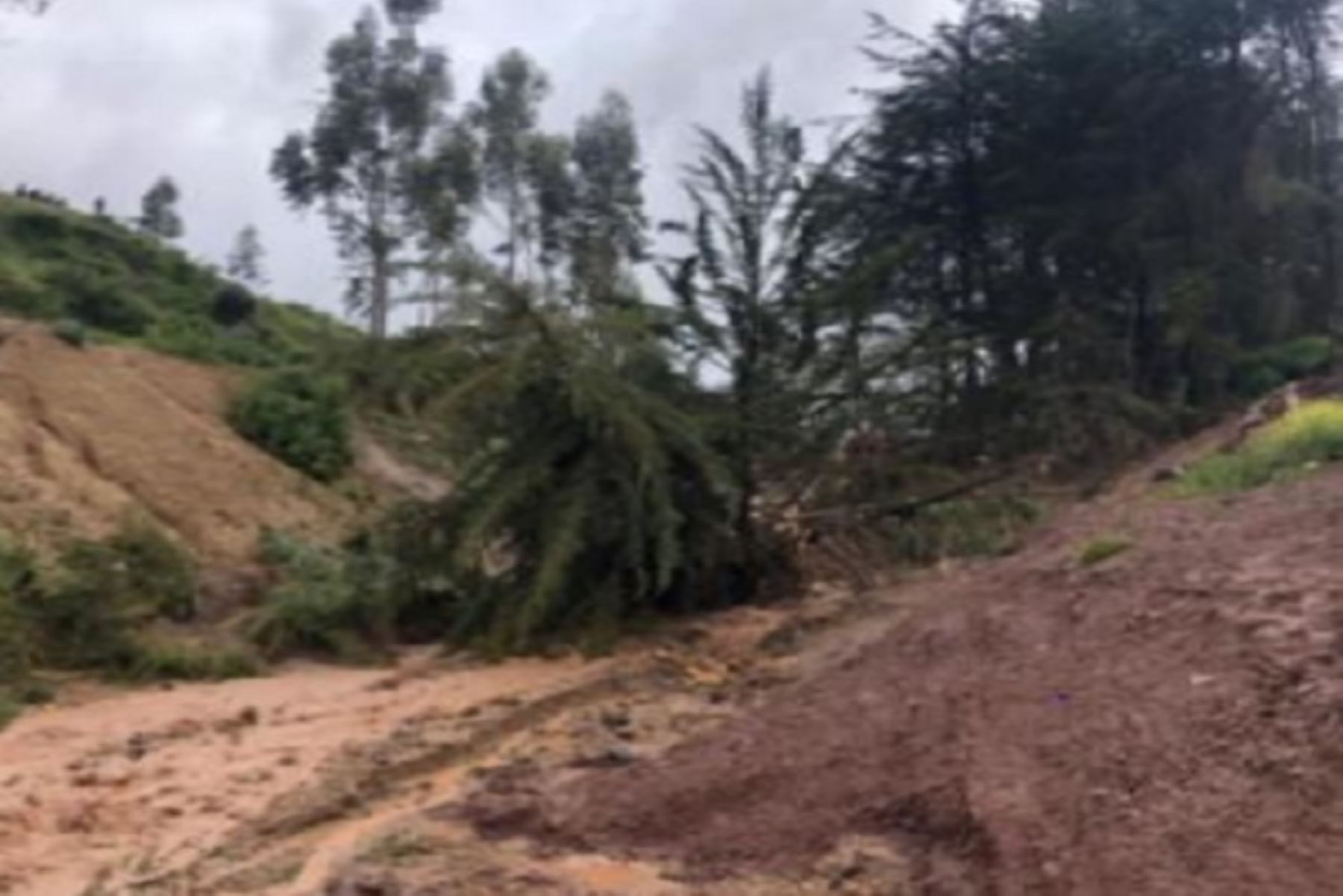 Lluvias intensas ocasionaron deslizamientos en el distrito de Mazamari, en la selva central de Junín. Foto: ANDINA/Difusión