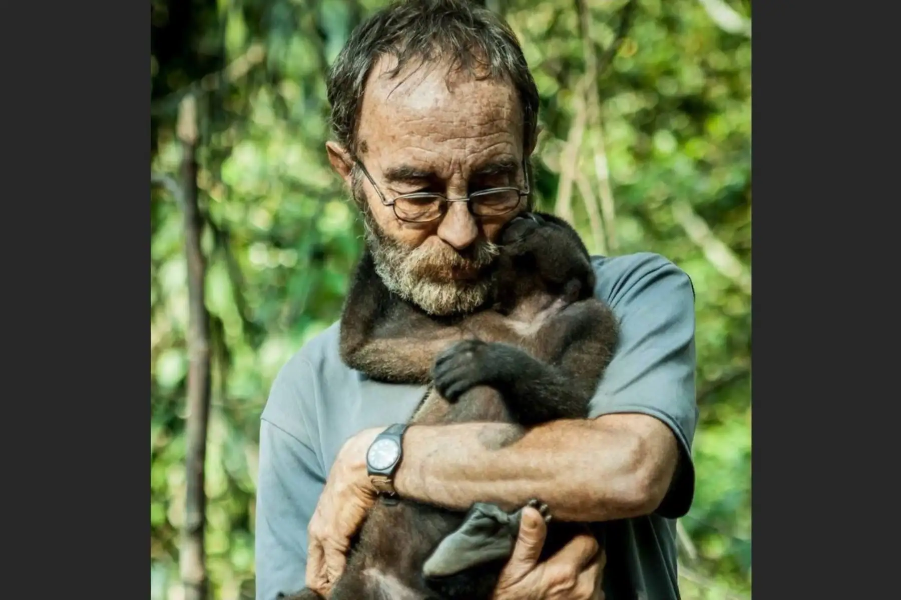 Conoce a Orlando Zagazeta, el defensor de la vida silvestre en la selva peruana que trabaja como guardaparque en San Martín. ANDINA/Difusión