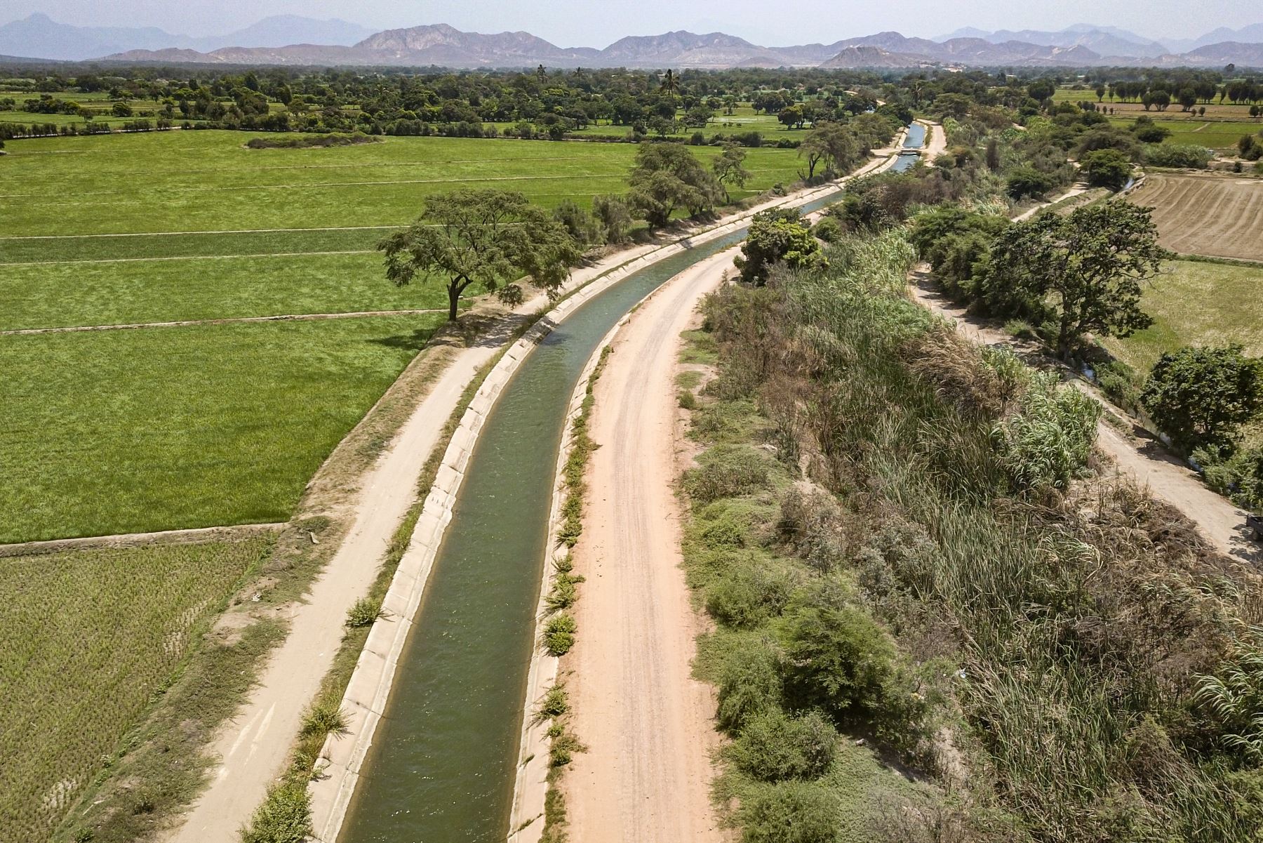 Programa Subsectorial de Irrigaciones del Minagri logra récord en ejecución presupuestal para obras de infraestructura de riego. ANDINA/Difusión