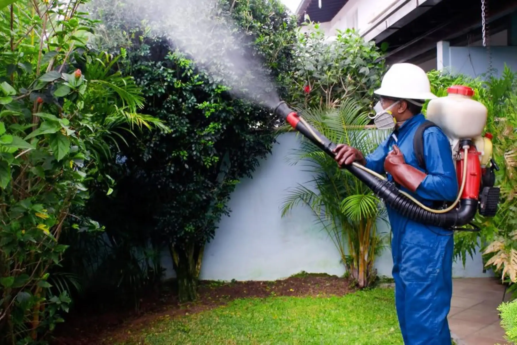 Un equipo multidisciplinario del Ministerio de Salud se encuentra en San Martín para brindar asistencia técnica integral sobre las acciones de lucha contra el dengue en dicha región. Foto: ANDINA/difusión.