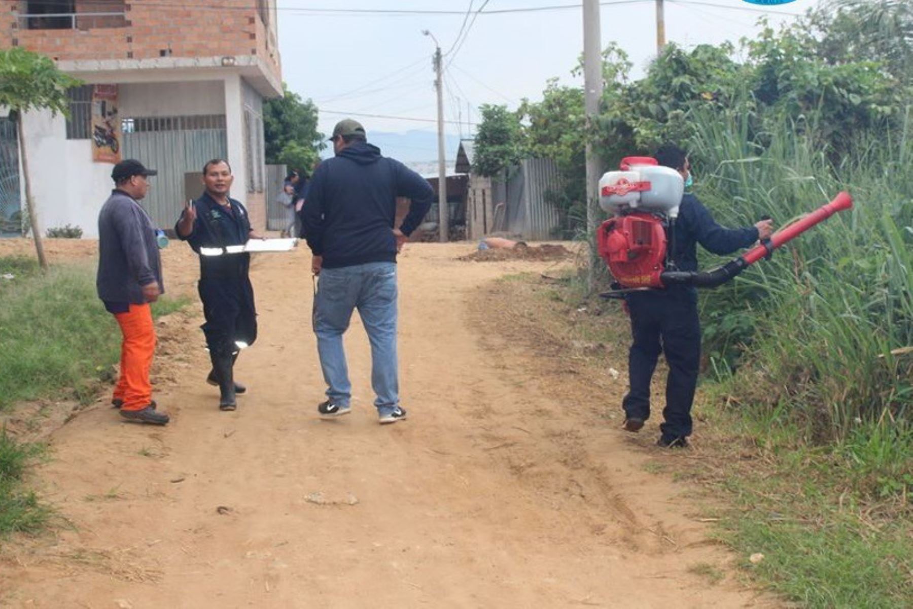 Autoridades de San Martín iniciaron una campaña de fumigación de viviendas para evitar la propagación del dengue en dicha región. ANDINA/Difusión